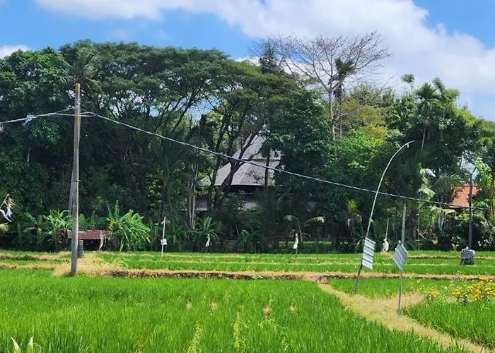 Kayun House